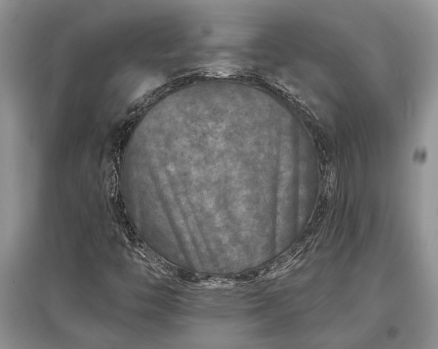 X0000097611446200803071440
