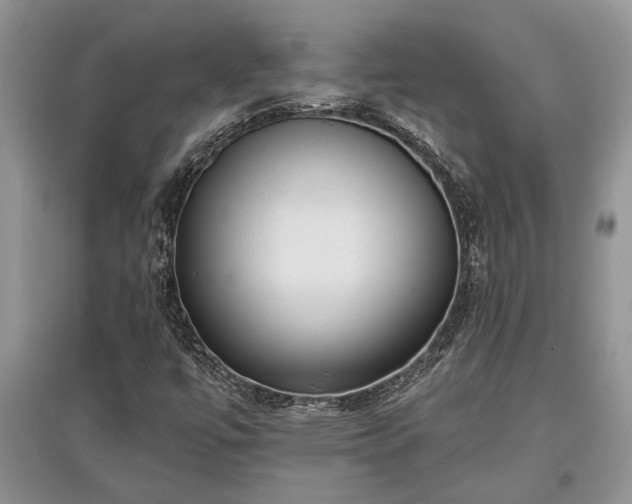 X0000097611447200803071440