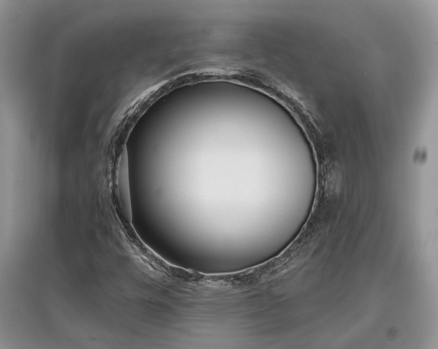 X0000097611448200803071440