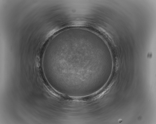 X0000097611449200803071440