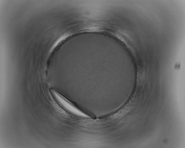 X0000097611450200803071440