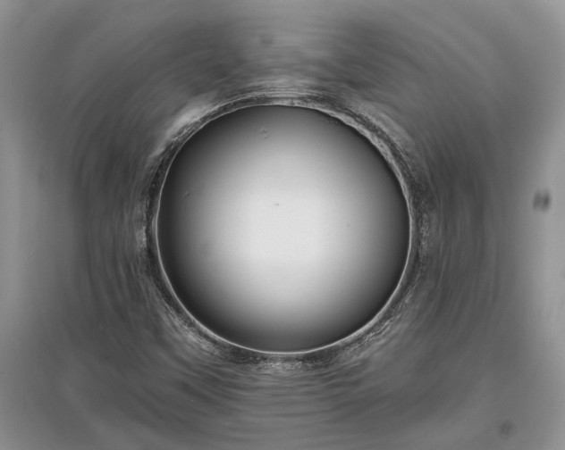 X0000097611451200803071440
