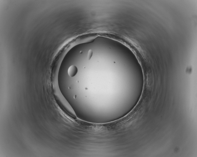 X0000097611452200803071440