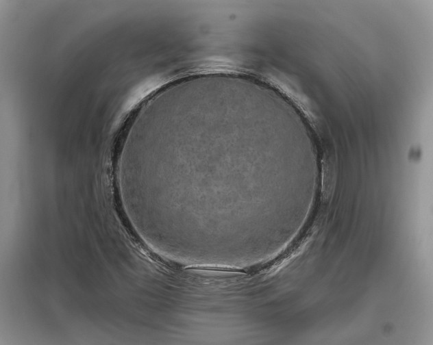X0000097611453200803071440