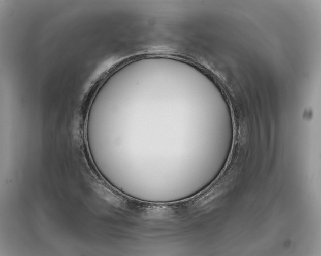 X0000097611454200803071440