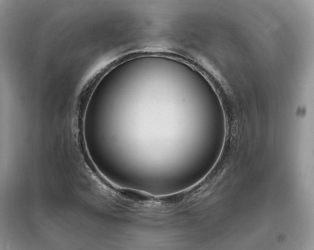 X0000097611456200803071440