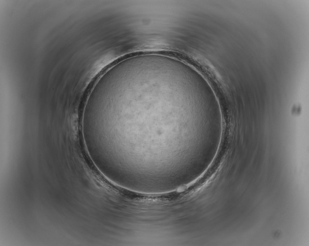 X0000097611457200803071440