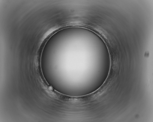 X0000097611458200803071440