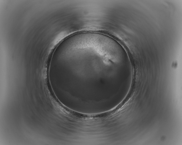 X0000097611459200803071440