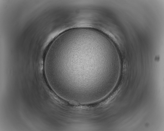 X0000097611461200803071440