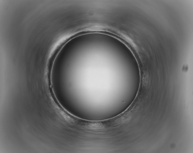 X0000097611464200803071440