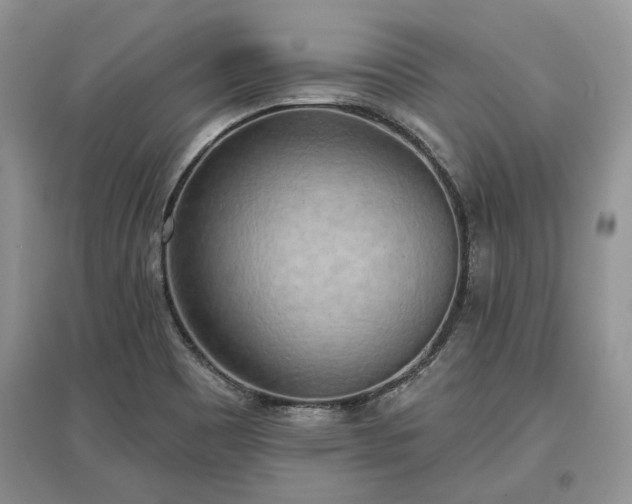 X0000097611465200803071440
