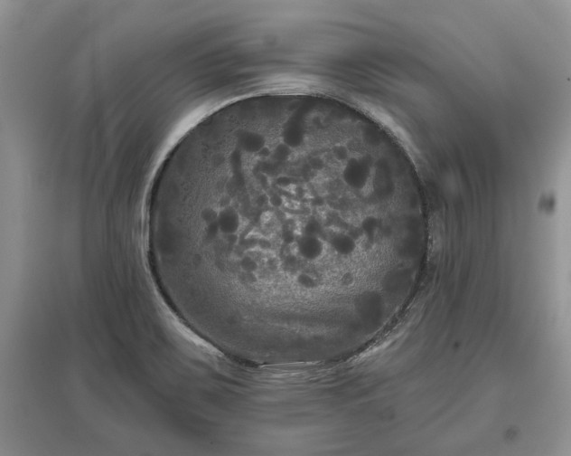 X0000097611467200803071440