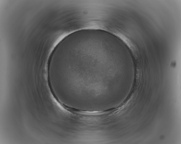 X0000097611468200803071440