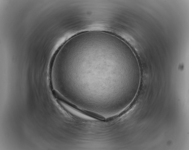 X0000097611469200803071439
