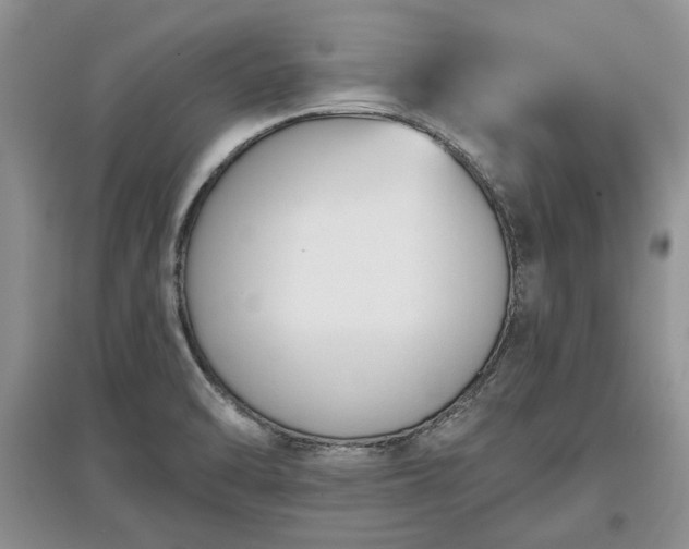 X0000097611470200803071439
