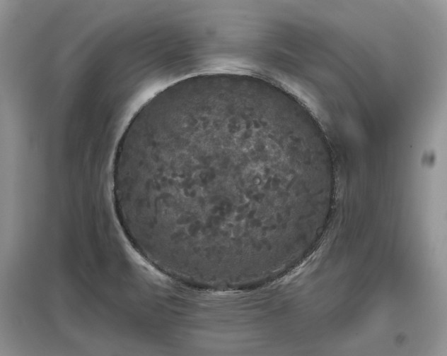 X0000097611471200803071439