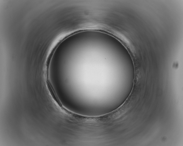 X0000097611472200803071439