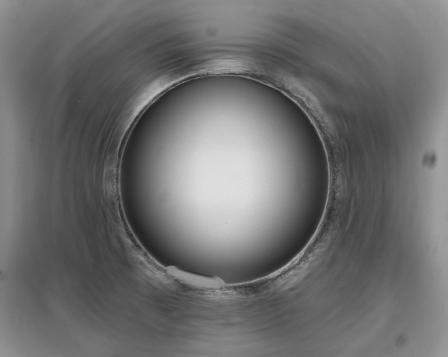 X0000097611473200803071439