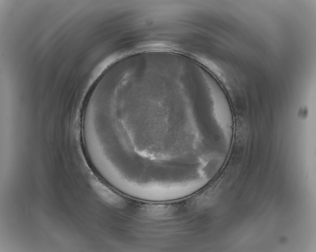 X0000097611474200803071439