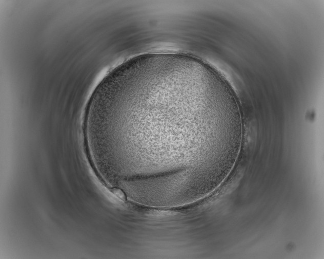X0000097611475200803071439