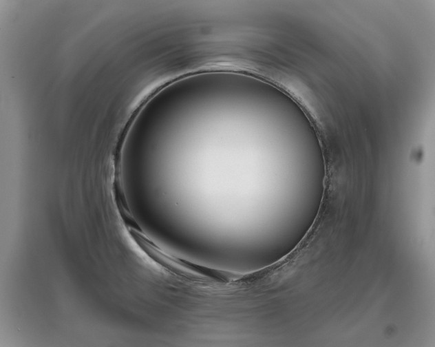 X0000097611476200803071439