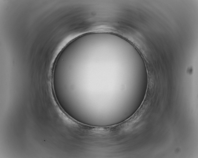 X0000097611478200803071439
