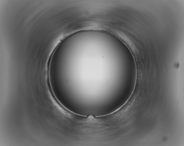 X0000097611479200803071439