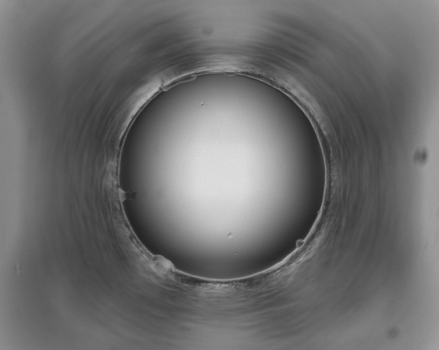 X0000097611481200803071439