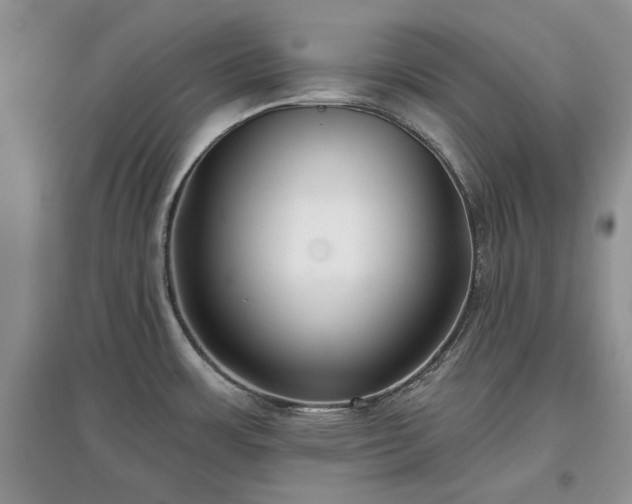 X0000097611483200803071439