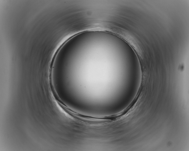 X0000097611484200803071439