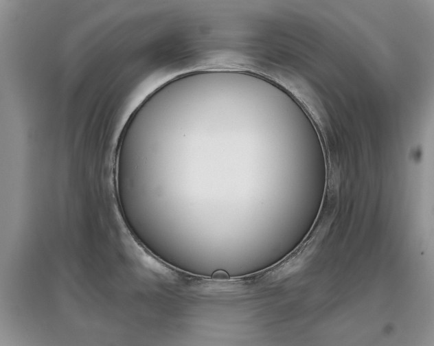 X0000097611486200803071439