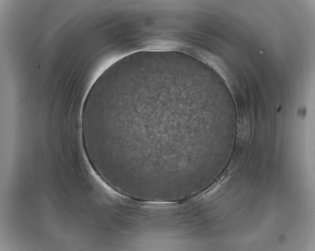 X0000097611487200803071439