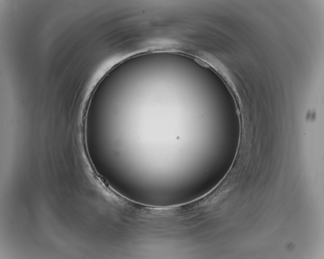 X0000097611488200803071439