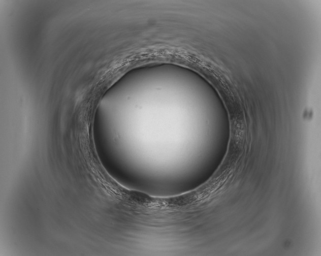 X0000097611489200803071439