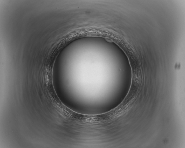 X0000097611490200803071439