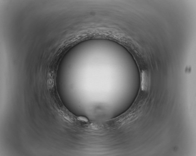 X0000097611491200803071439