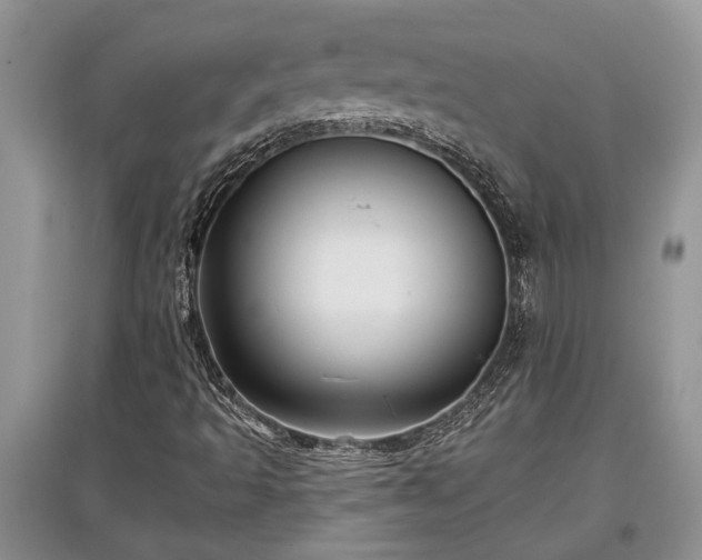 X0000097611493200803071439