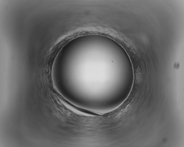 X0000097611494200803071439