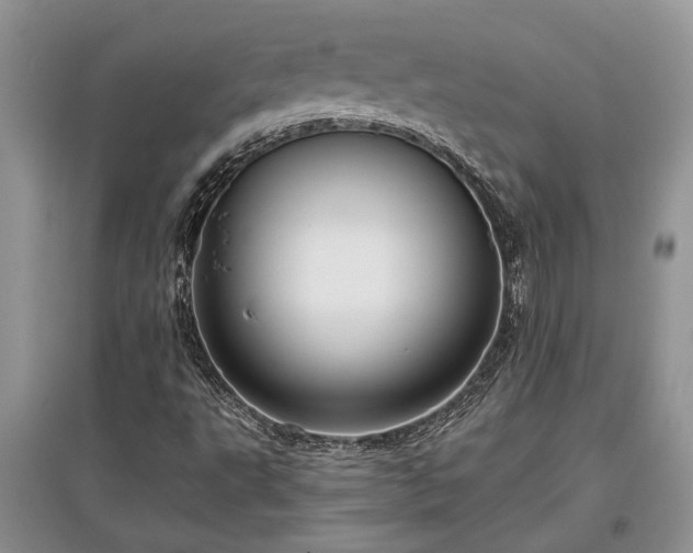 X0000097611495200803071439