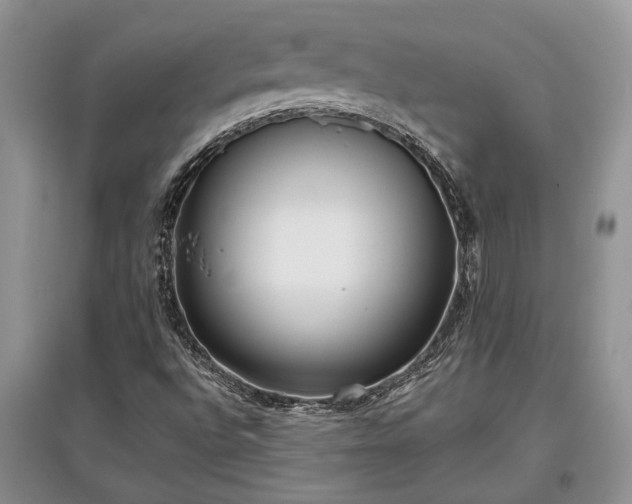 X0000097611496200803071439
