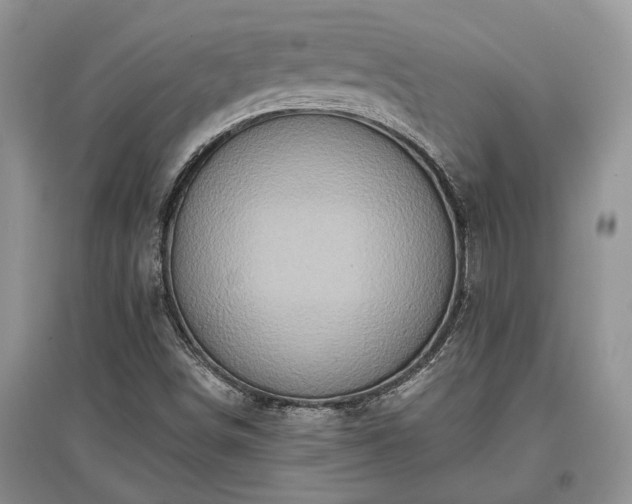 X0000097611498200803071439