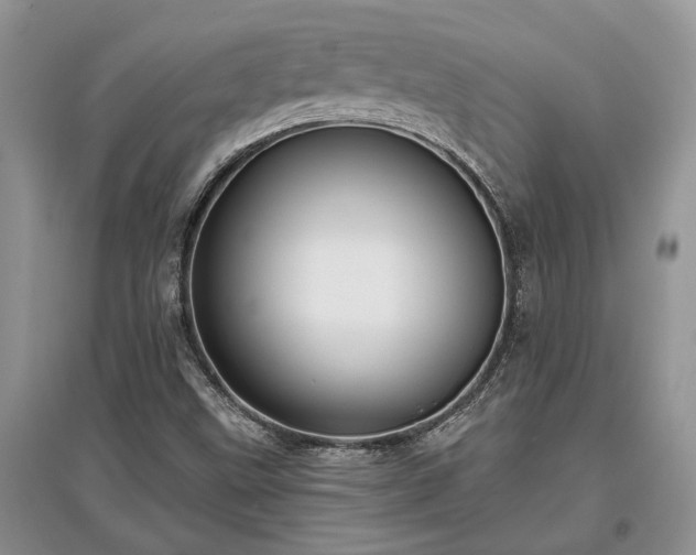 X0000097611499200803071439
