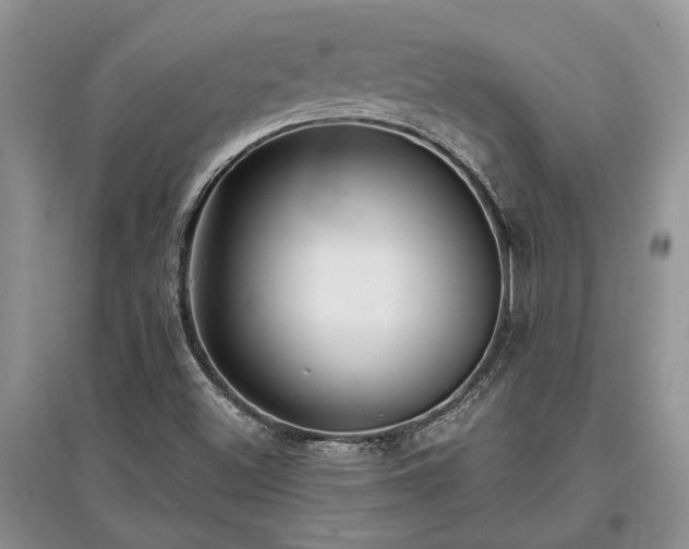 X0000097611500200803071439