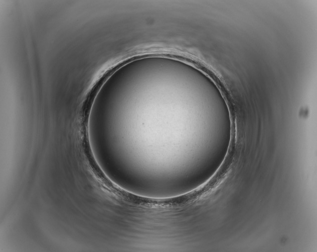 X0000097611501200803071439