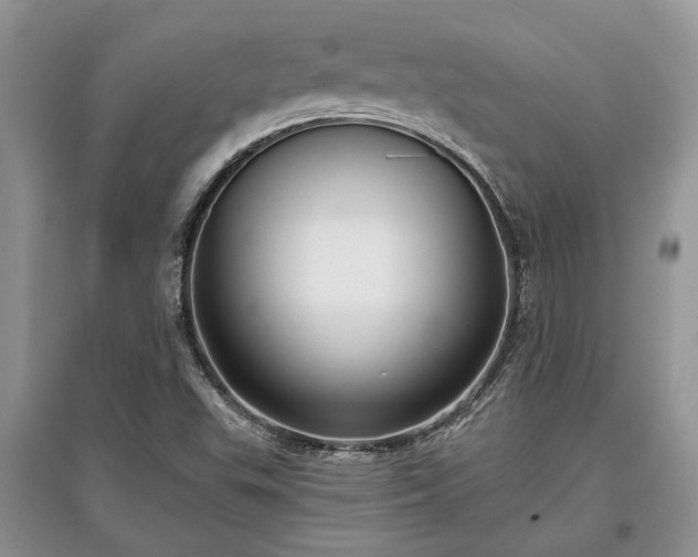 X0000097611503200803071439