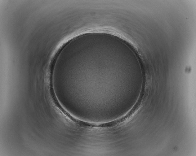 X0000097611506200803071439