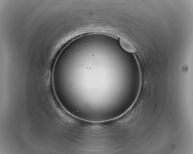 X0000097611507200803071439