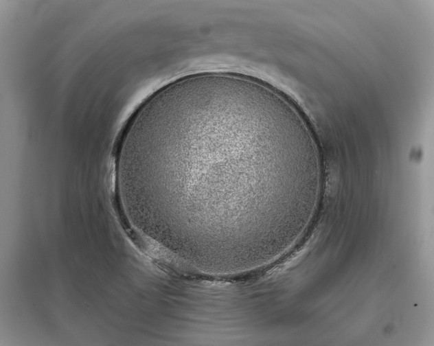 X0000097611509200803071439