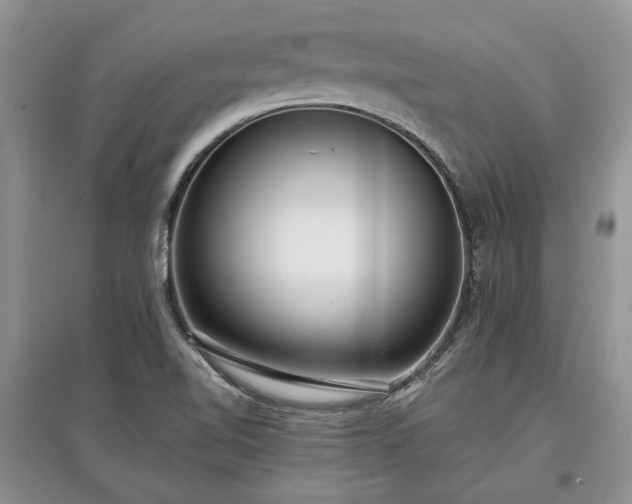 X0000097611510200803071439